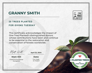 Giving Tuesday tree certificate
