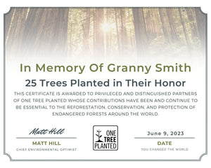 Gift Trees In Memory