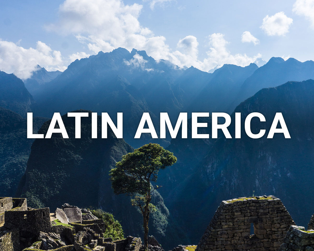 Where we plant - Latin America