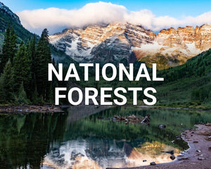 National Forests landscape