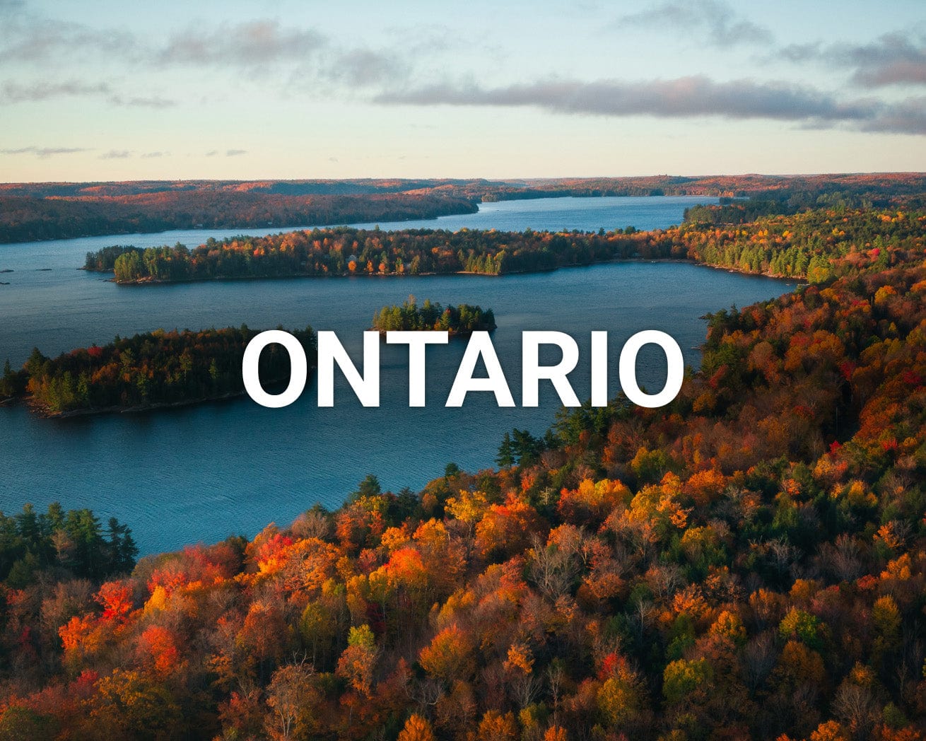 Ontario landscape - forests and lake