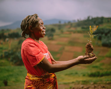 Women holding a small tree sapling