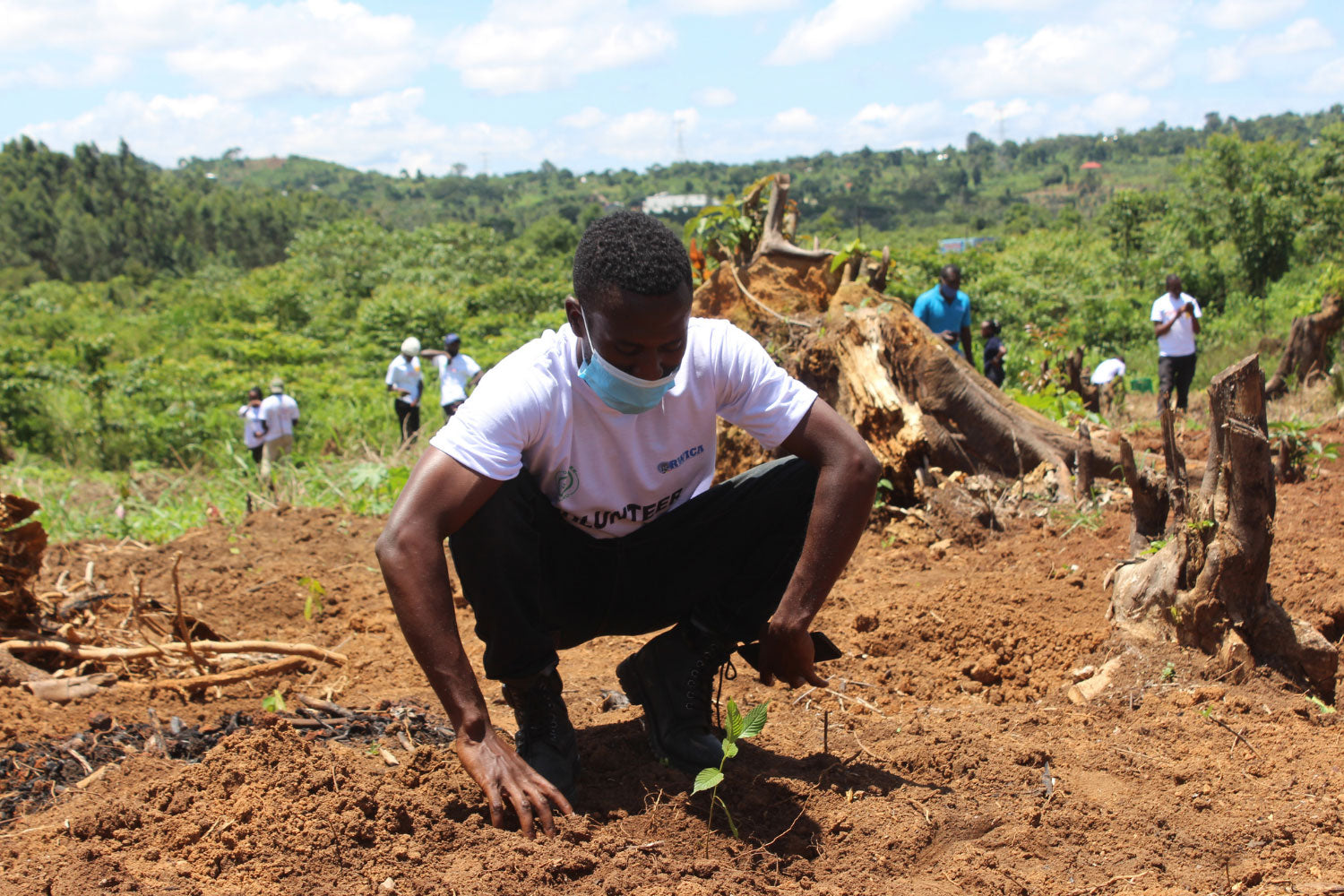 Tree planting in Africa