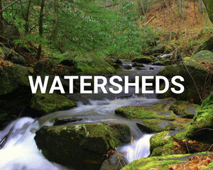 Watersheds running stream in forest