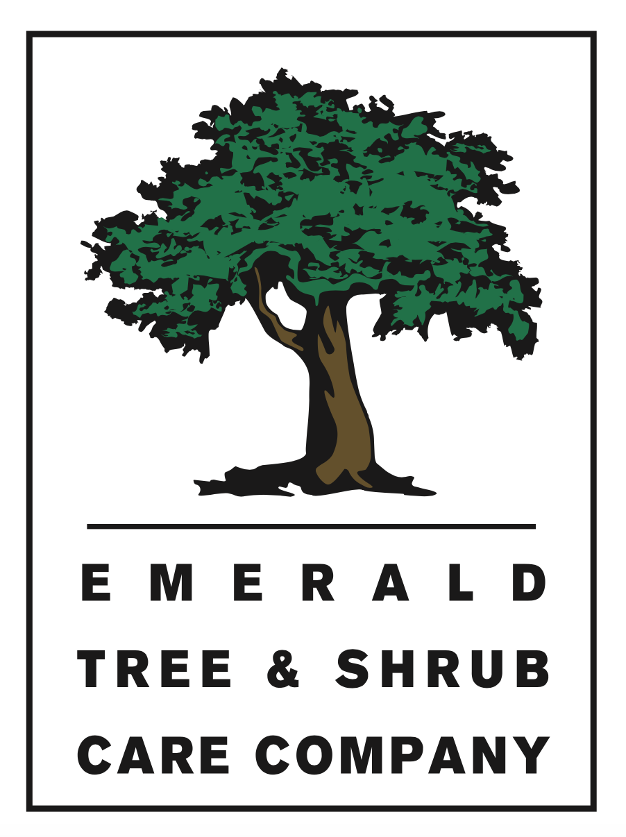 Emerald Tree Care