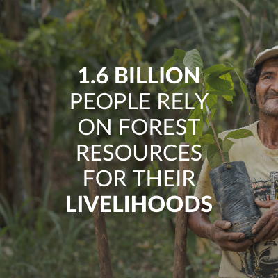 1.6 billion people rely on forest resources for their livelyhoods