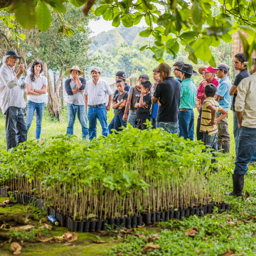 Community learning about tree planting