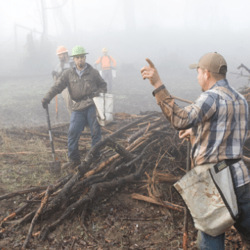 Tree planters in the fog